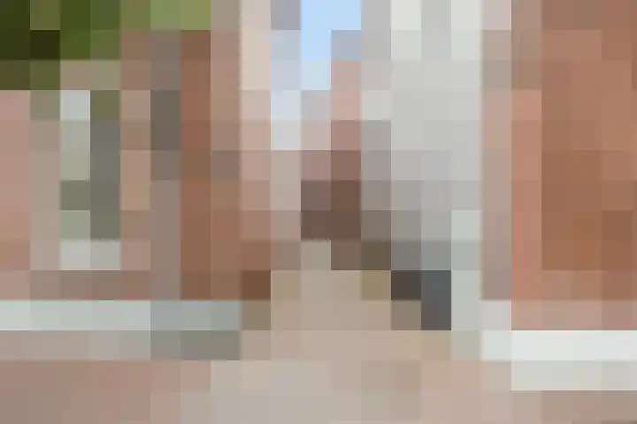 Bonengang 3 Gemert thumbnail 18