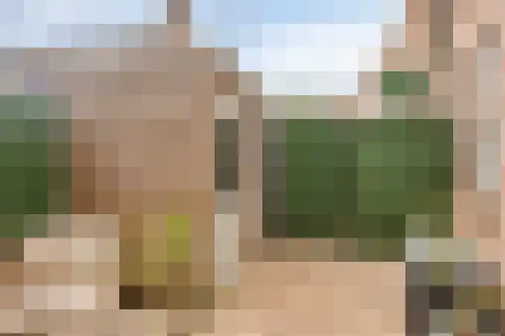 Bonengang 3 Gemert thumbnail 19