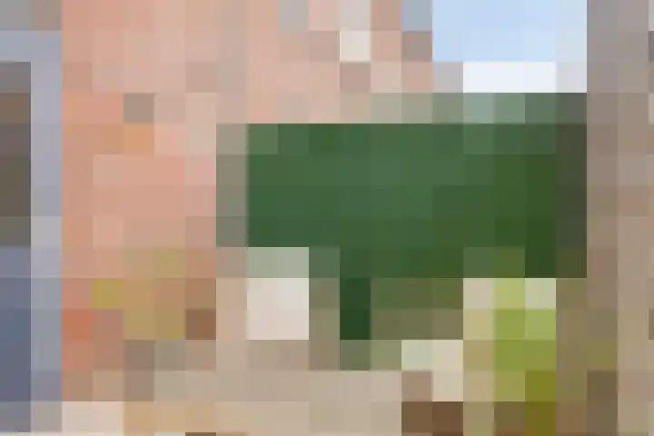 Bonengang 3 Gemert foto 2