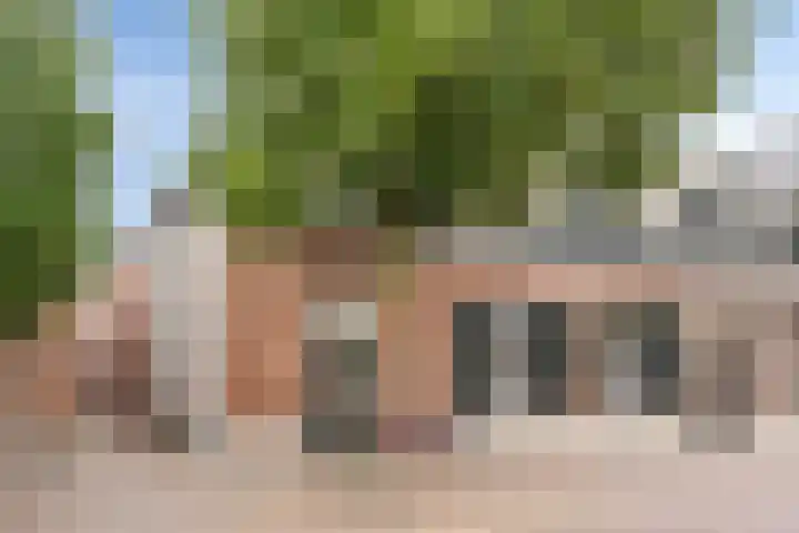 Bonengang 3 Gemert thumbnail 21