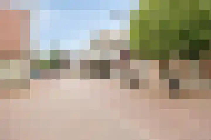 Bonengang 3 Gemert thumbnail 22