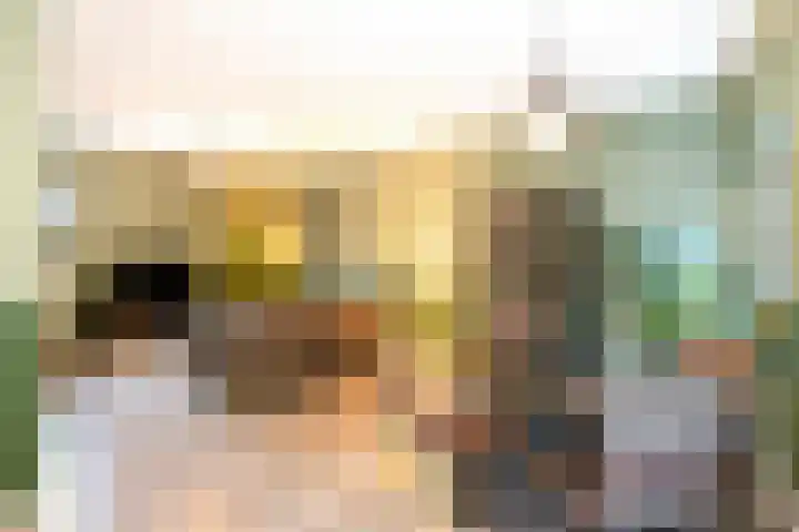 Bonengang 3 Gemert foto 3