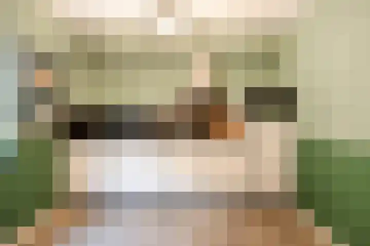 Bonengang 3 Gemert thumbnail 4