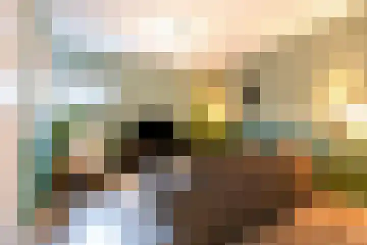 Bonengang 3 Gemert thumbnail 5