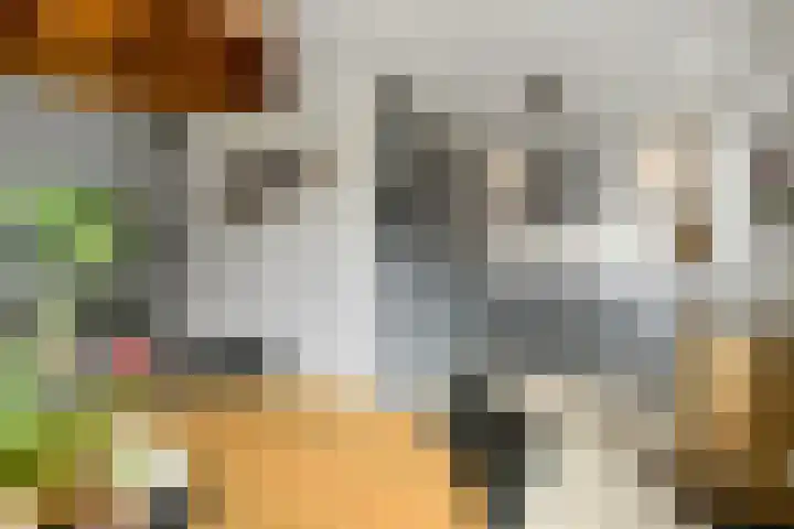 Bonenkamp 18 Elst thumbnail 10