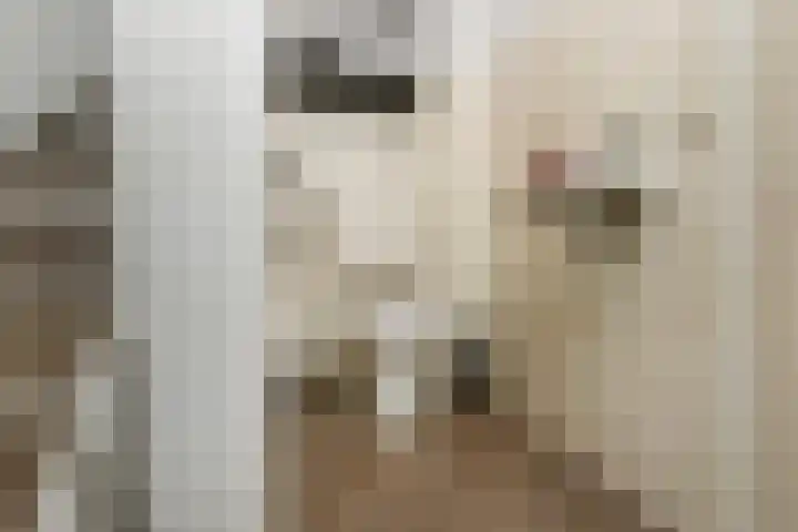 Bonenkamp 18 Elst thumbnail 15