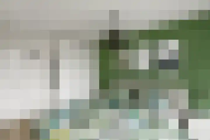 Bonenkamp 18 Elst thumbnail 17