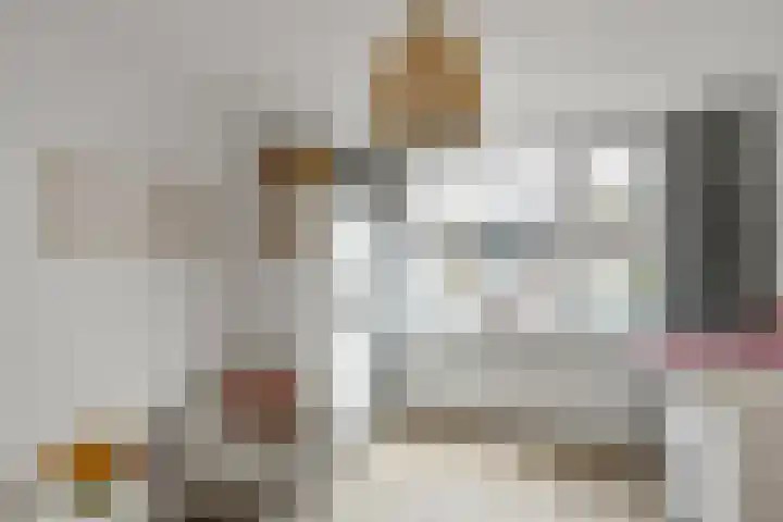 Bonenkamp 18 Elst thumbnail 19