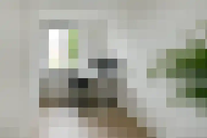 Bonenkamp 18 Elst thumbnail 20