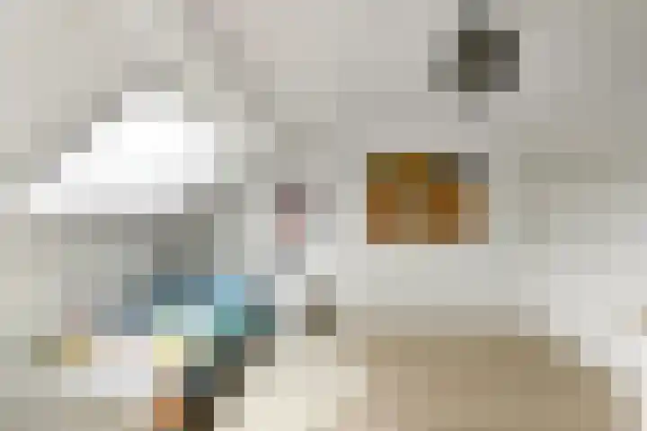 Bonenkamp 18 Elst thumbnail 26