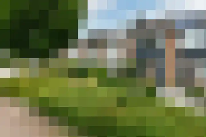Bonenkamp 18 Elst thumbnail 40