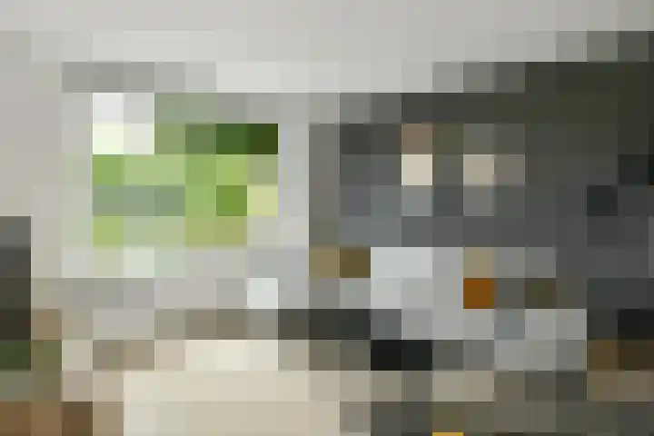 Bonenkamp 18 Elst thumbnail 5