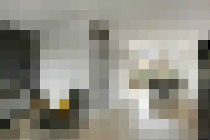 Bonenkamp 18 Elst thumbnail 7
