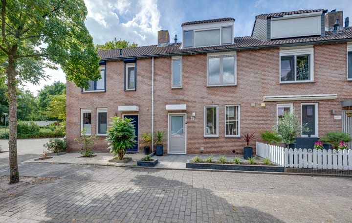 Bongelakker 19 in Rijen foto