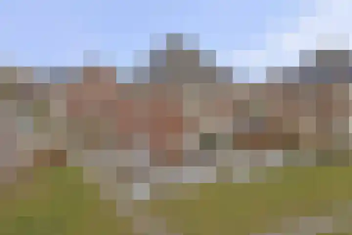 Bongerd 14 Helden