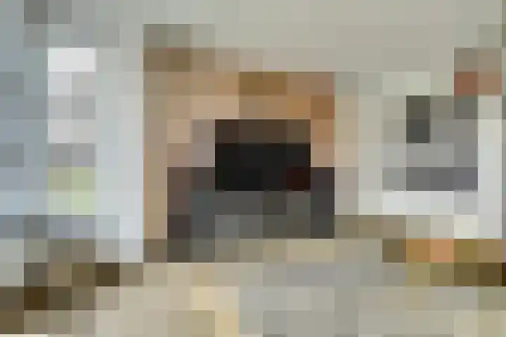 Bongerd 14 Helden thumbnail 10