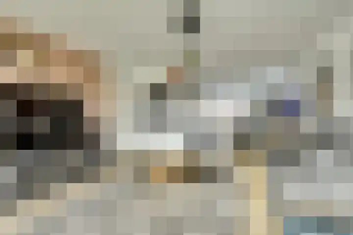 Bongerd 14 Helden thumbnail 11