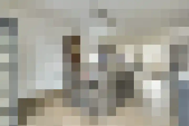 Bongerd 14 Helden thumbnail 12