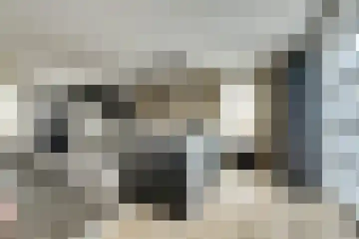 Bongerd 14 Helden thumbnail 14