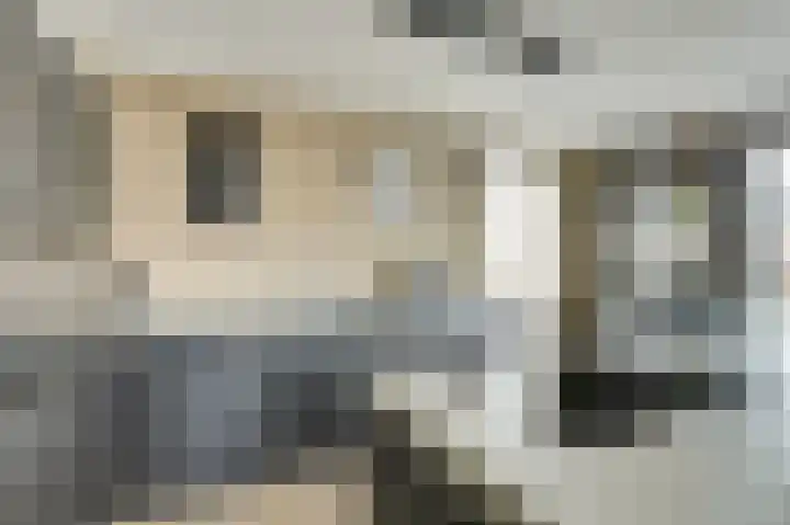 Bongerd 14 Helden thumbnail 15