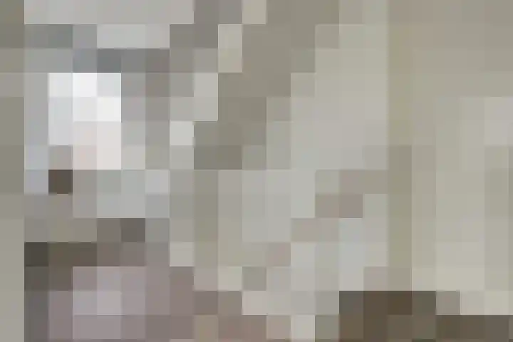 Bongerd 14 Helden thumbnail 19
