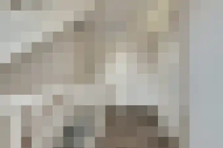 Bongerd 14 Helden thumbnail 20
