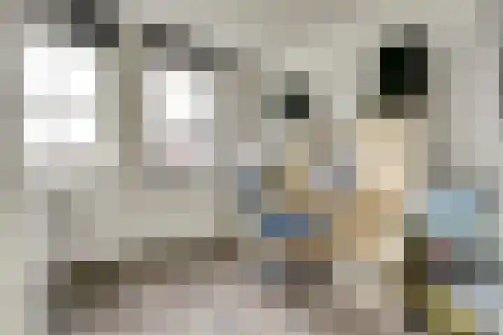 Bongerd 14 Helden thumbnail 24