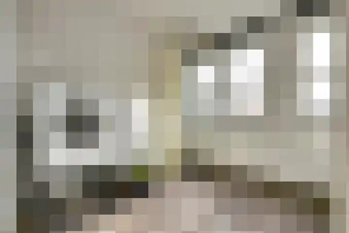 Bongerd 14 Helden thumbnail 25