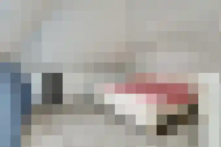 Bongerd 14 Helden thumbnail 29