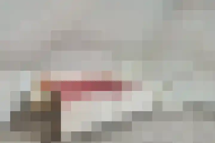 Bongerd 14 Helden thumbnail 30