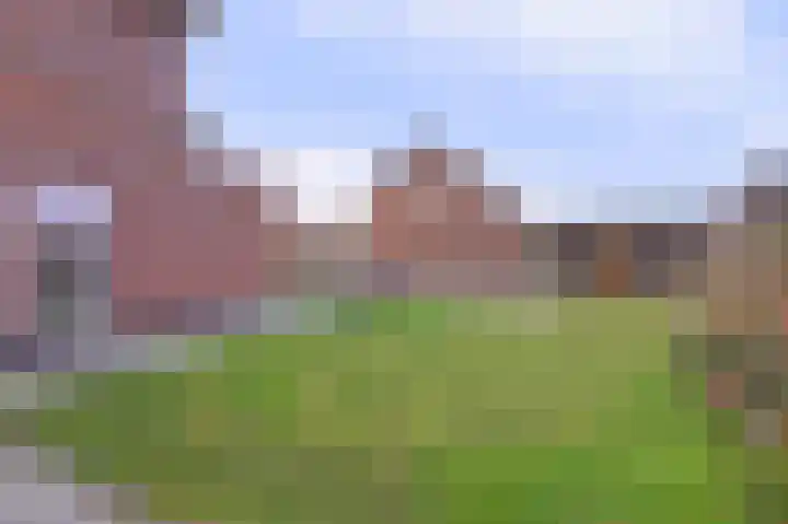 Bongerd 14 Helden thumbnail 31