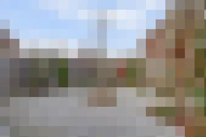Bongerd 14 Helden thumbnail 33