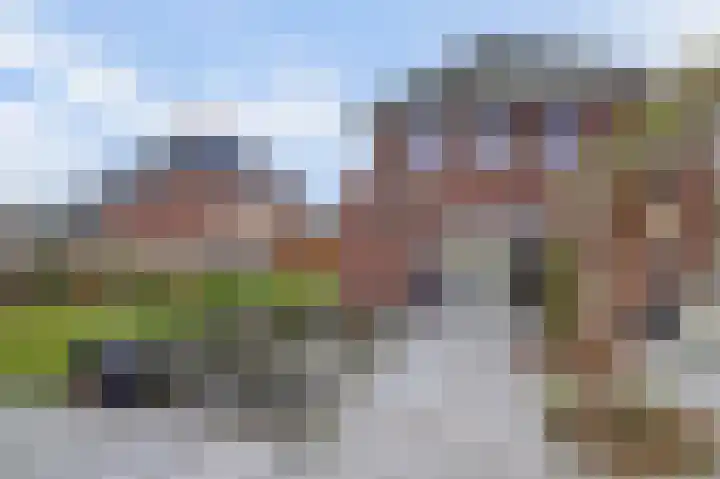 Bongerd 14 Helden thumbnail 35