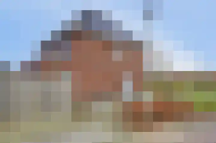 Bongerd 14 Helden thumbnail 42