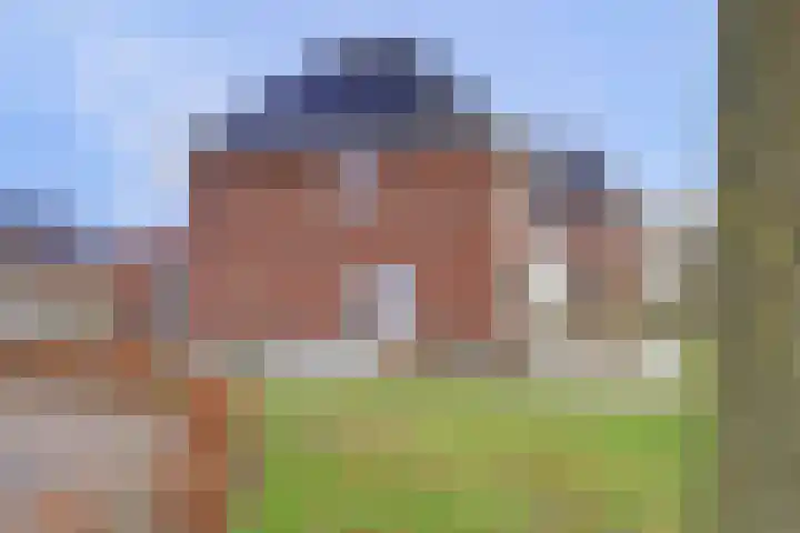 Bongerd 14 Helden thumbnail 43