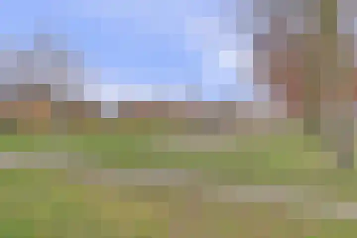 Bongerd 14 Helden thumbnail 47