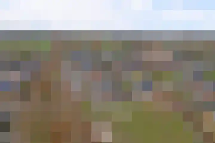 Bongerd 14 Helden thumbnail 49