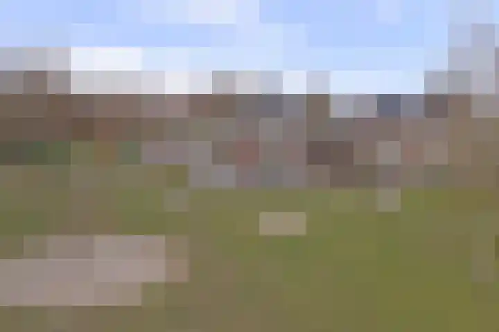 Bongerd 14 Helden thumbnail 50
