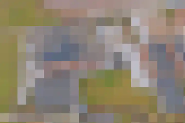 Bongerd 14 Helden thumbnail 51