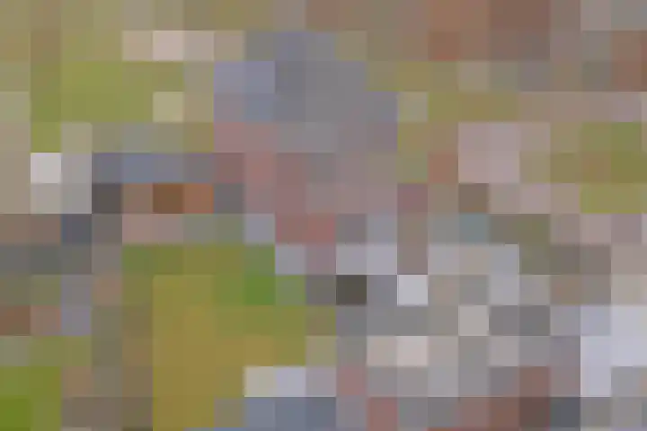 Bongerd 14 Helden thumbnail 52