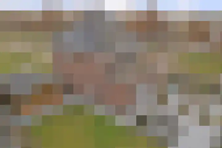 Bongerd 14 Helden thumbnail 53