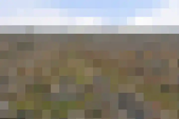 Bongerd 14 Helden thumbnail 54