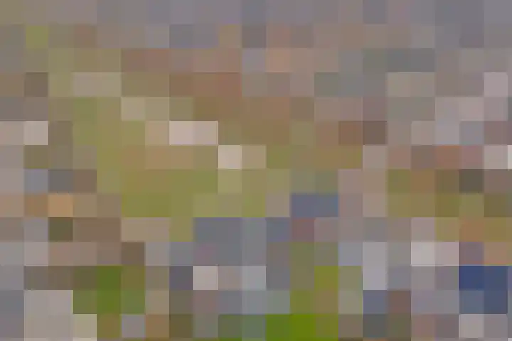Bongerd 14 Helden thumbnail 55