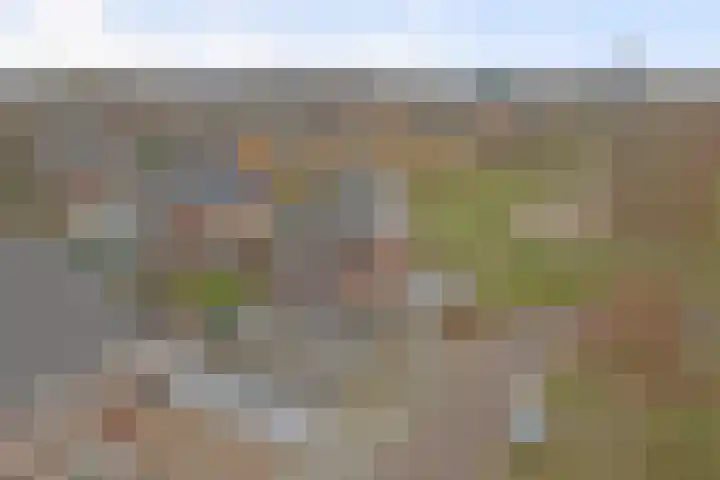 Bongerd 14 Helden thumbnail 56