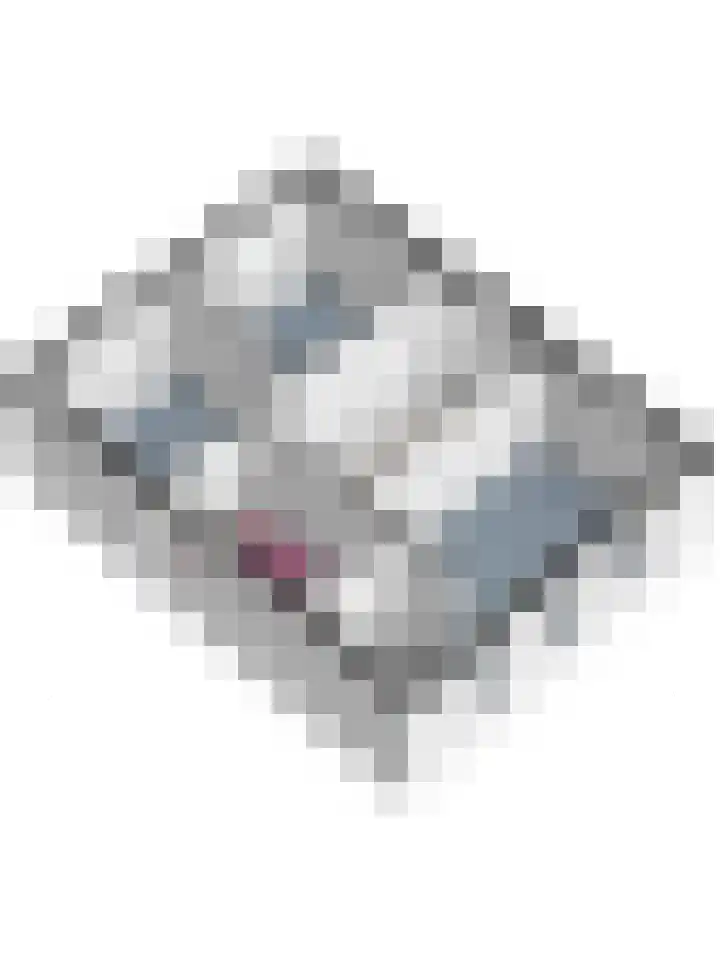 Bongerd 14 Helden thumbnail 60
