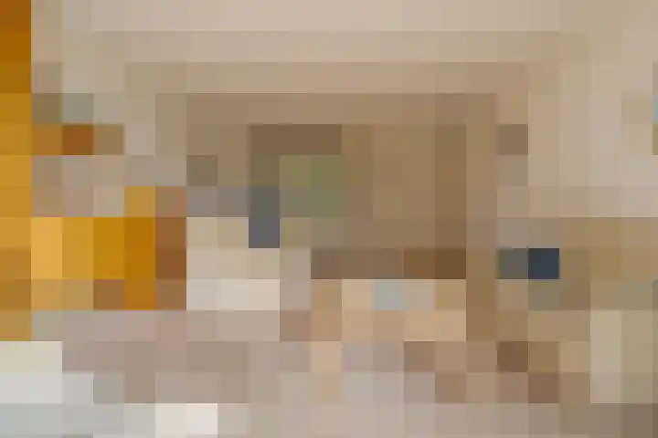 Bongerd 17 Hattem thumbnail 13