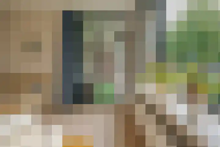 Bongerd 17 Hattem thumbnail 20