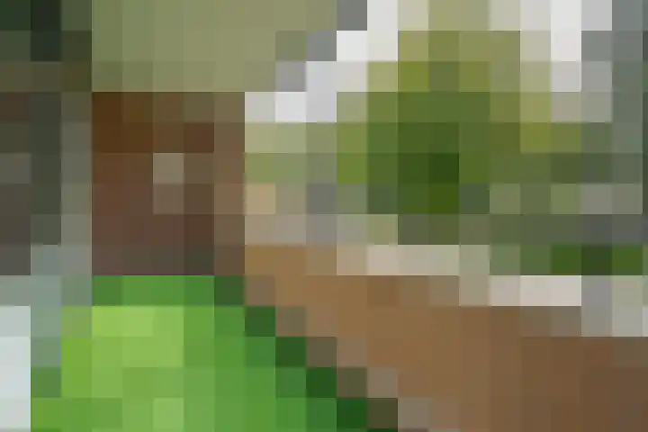 Bongerd 17 Hattem thumbnail 21
