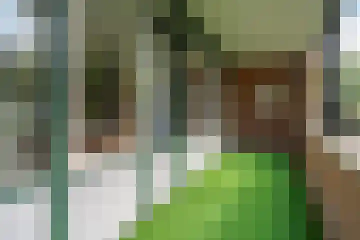 Bongerd 17 Hattem thumbnail 22