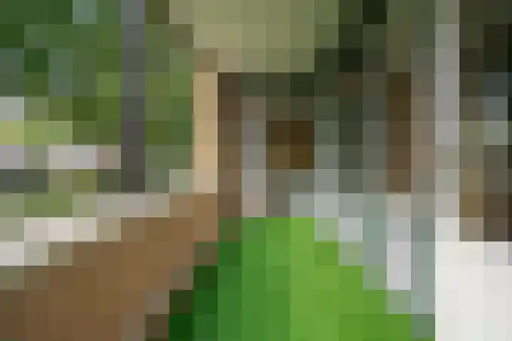 Bongerd 17 Hattem thumbnail 23